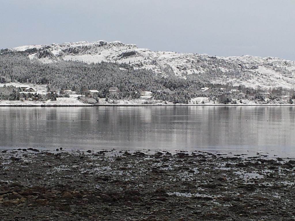 The Spaniards Room Heritage Home Spaniards Bay Dış mekan fotoğraf